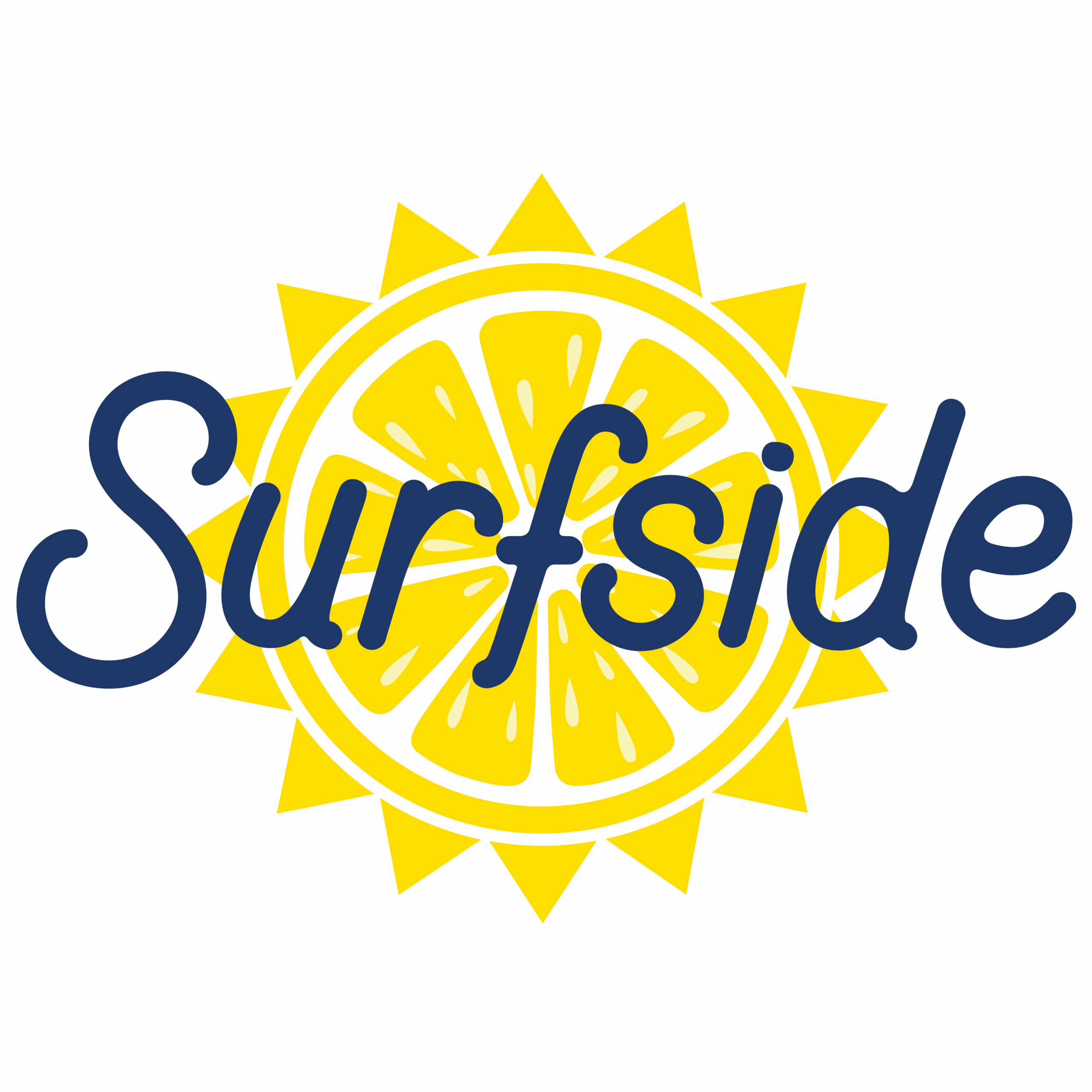 Sponsor Logo